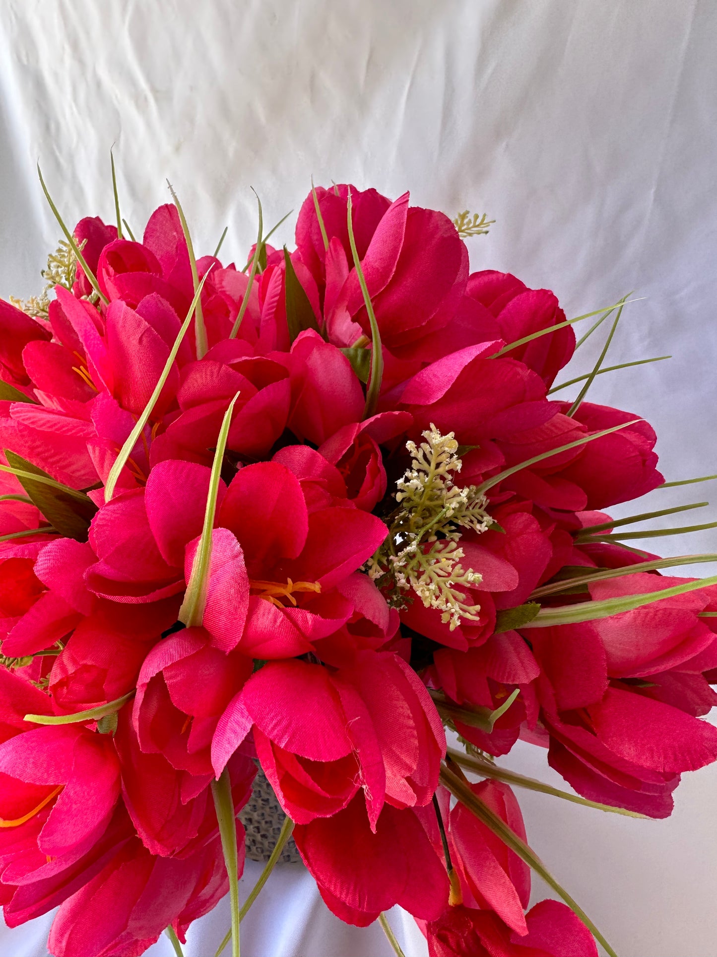 Hot Pink Tulips