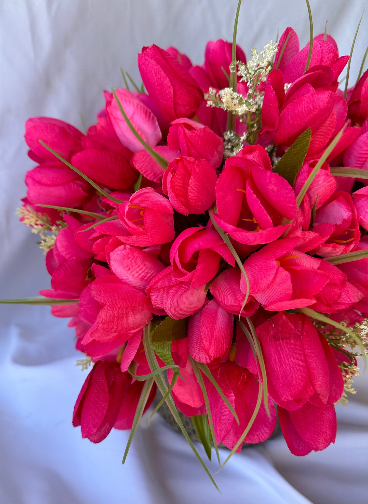 Hot Pink Tulips